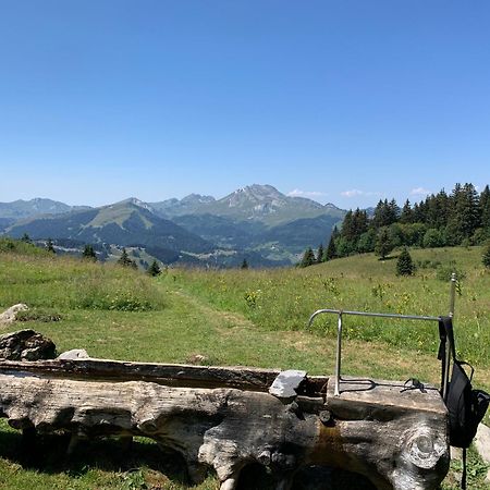 Chalet Yuki Morzine Zewnętrze zdjęcie